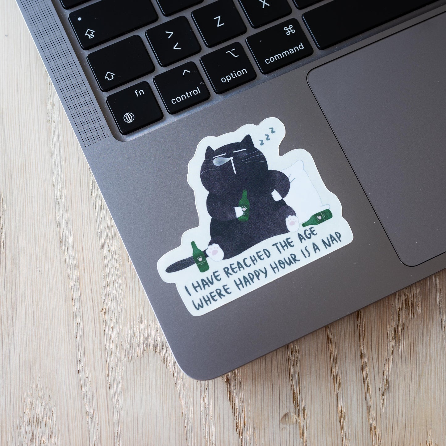 Black cat meme sticker, funny cat sticker, sarcastic cat sticker, cat laptop sticker, Chill cat sticker, water bottle sticker, vinyl sticker