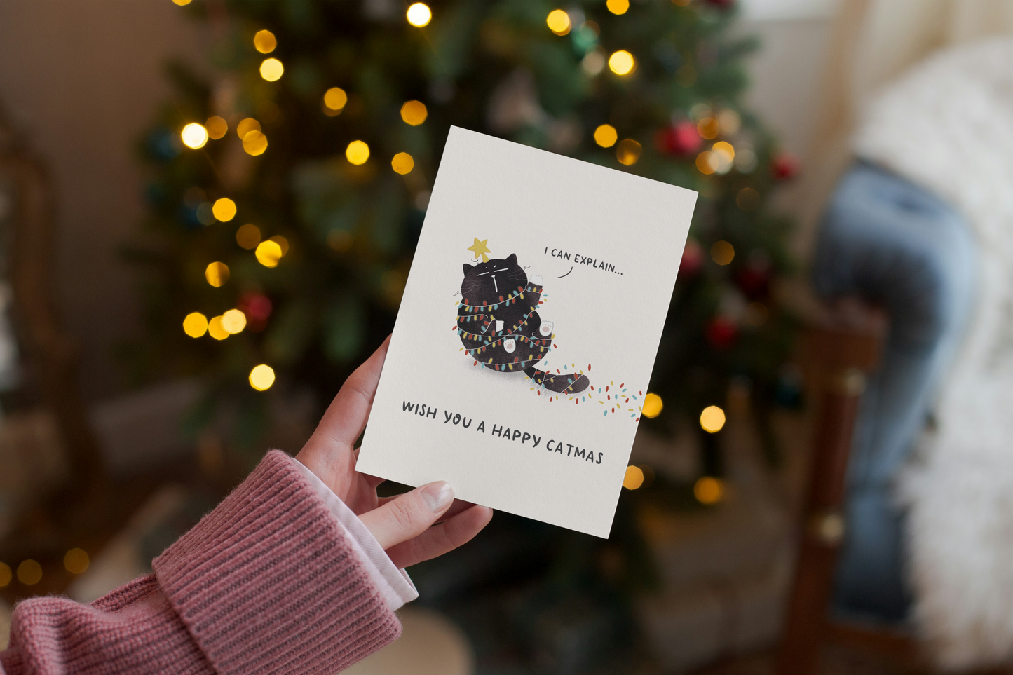 "I Can Explain"... Funny Mocha Cat Christmas card