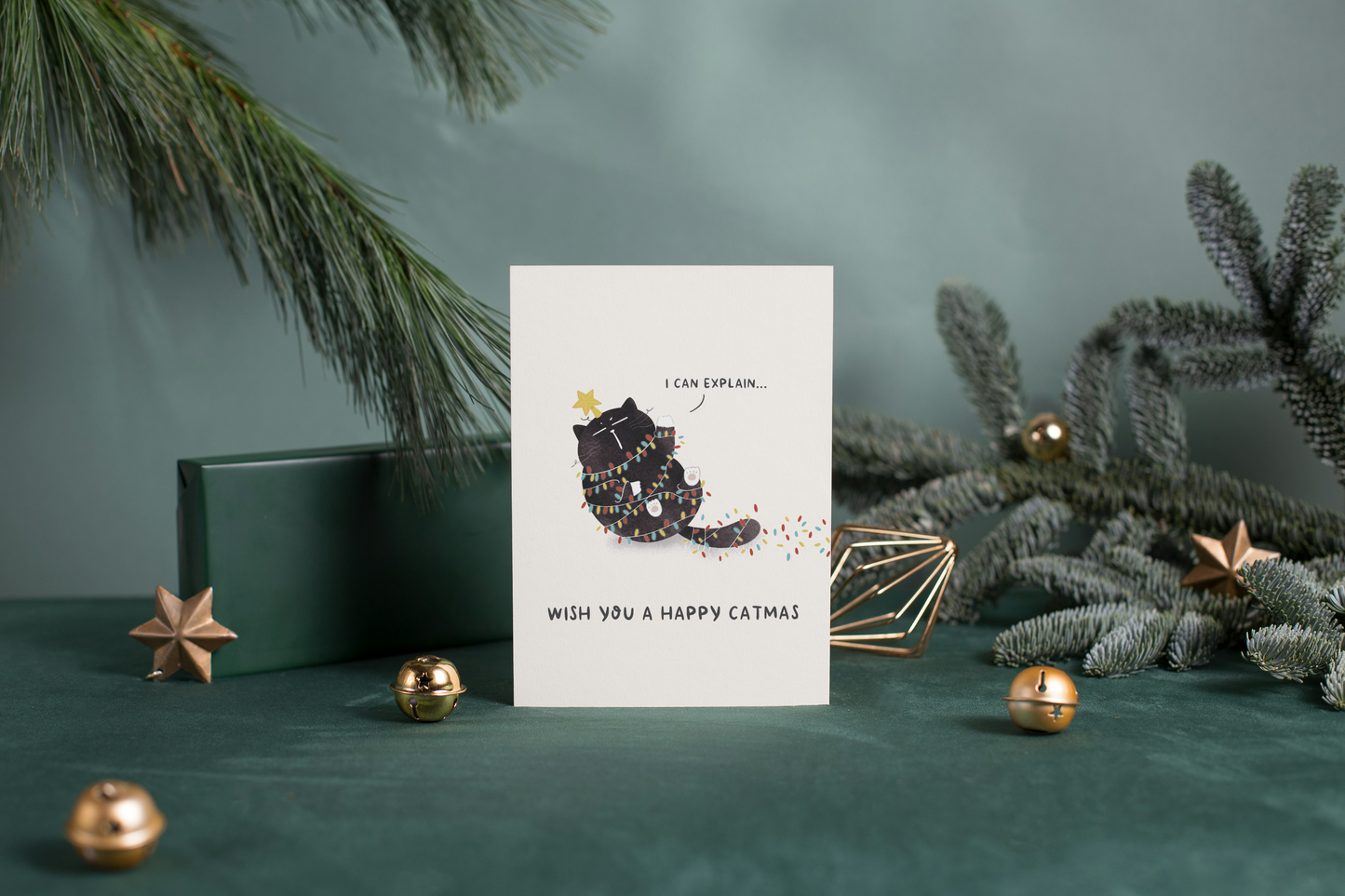 "I Can Explain"... Funny Mocha Cat Christmas card