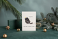 "I Can Explain"... Funny Mocha Cat Christmas card