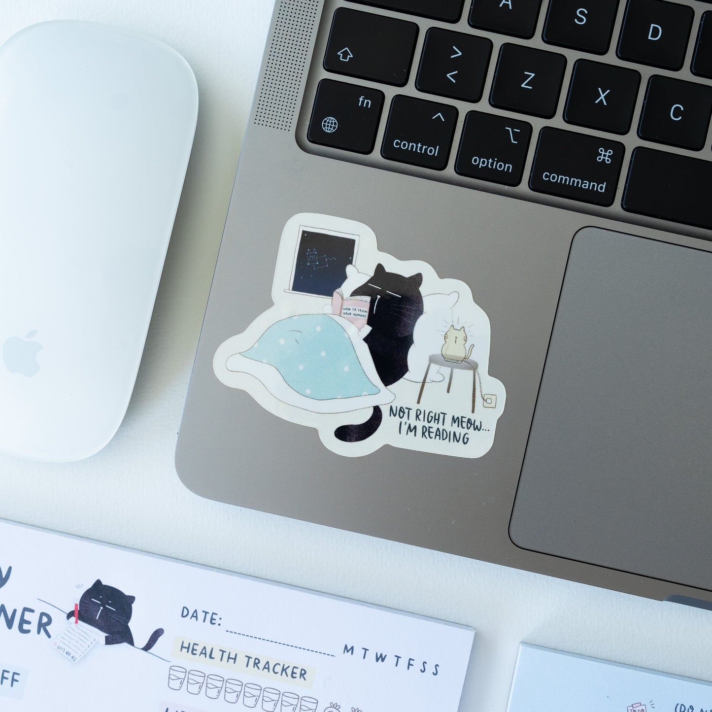 "Not right meow, I am reading" Cozy introvert Mocha cat vinyl sticker