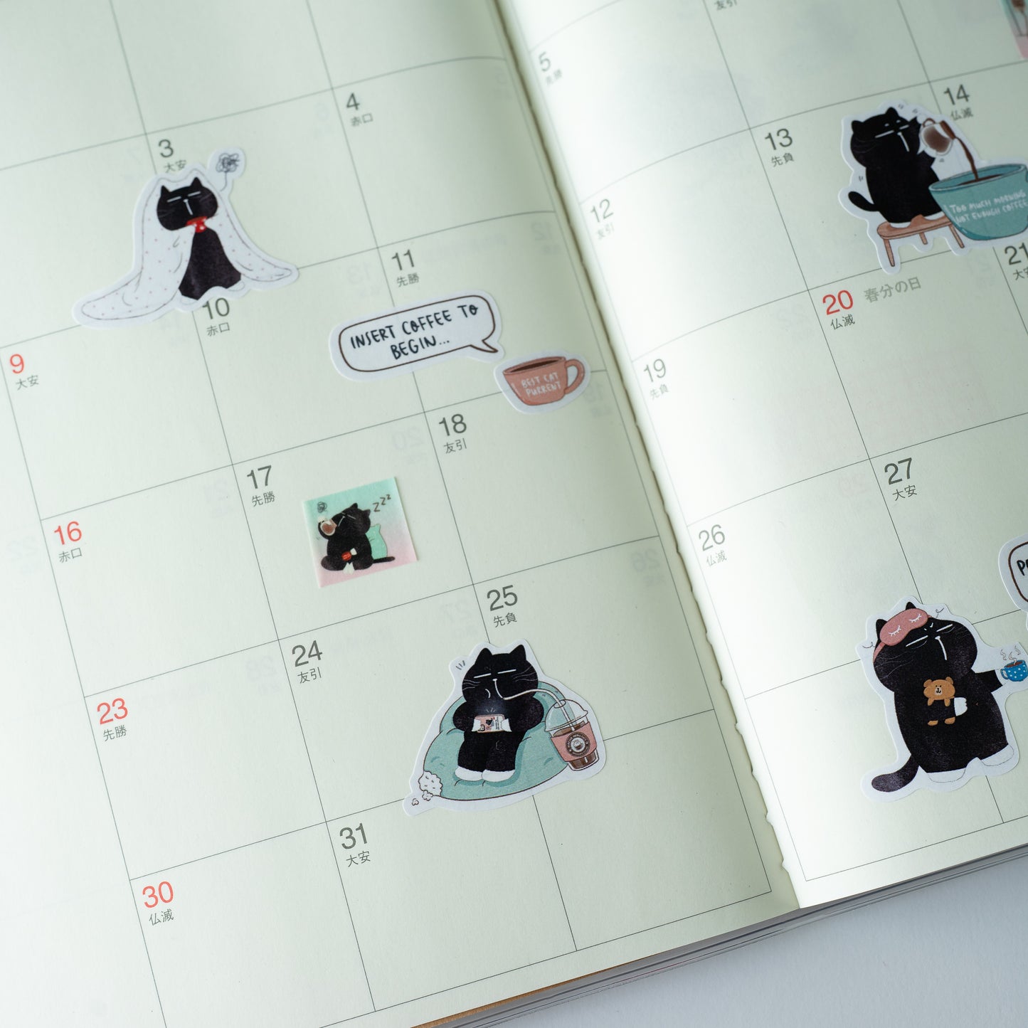 Insert Coffee To Begin | Coffee Mocha Cat Sticker Sheet