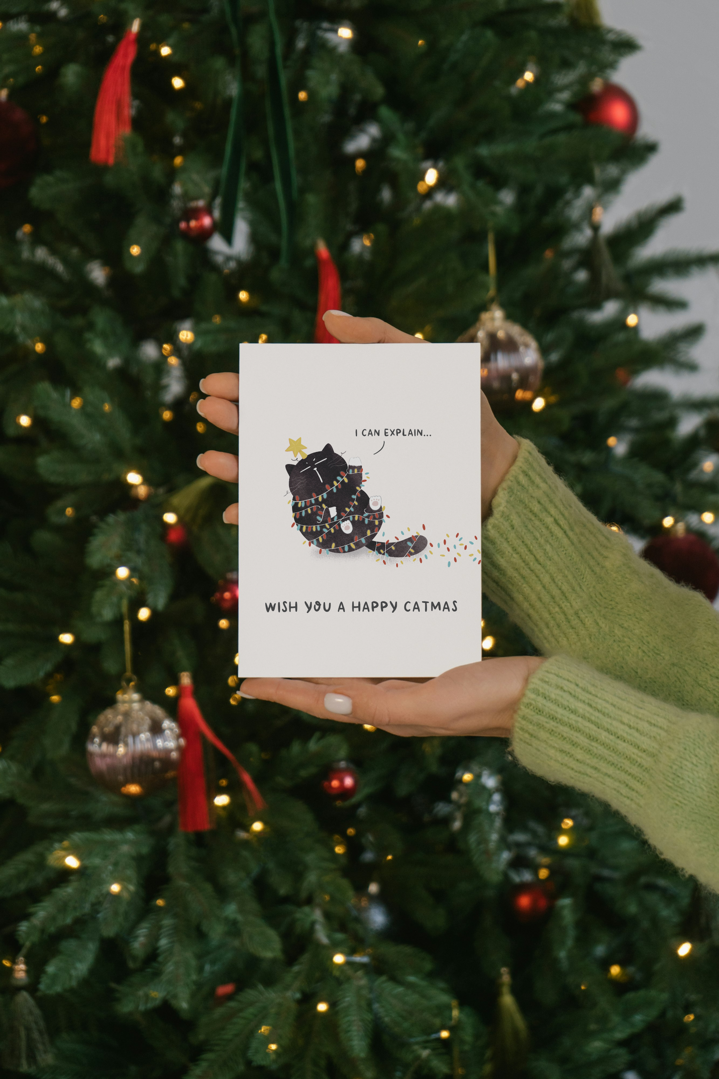 "I Can Explain"... Funny Mocha Cat Christmas card